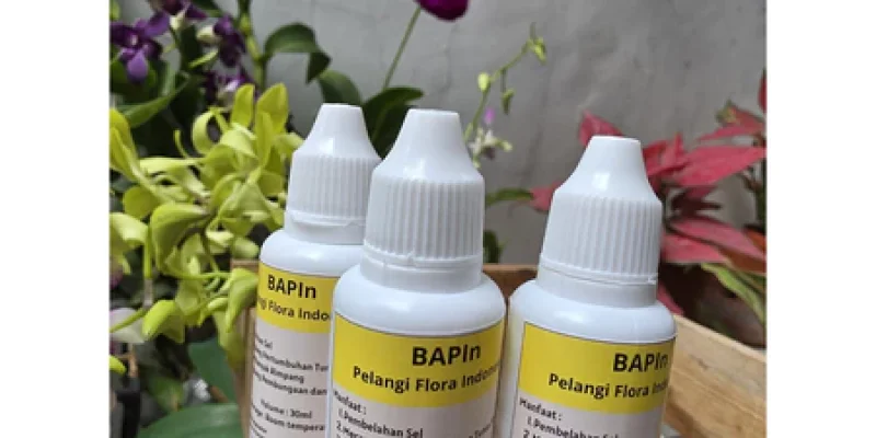 Paket 3 Botol BAPIn