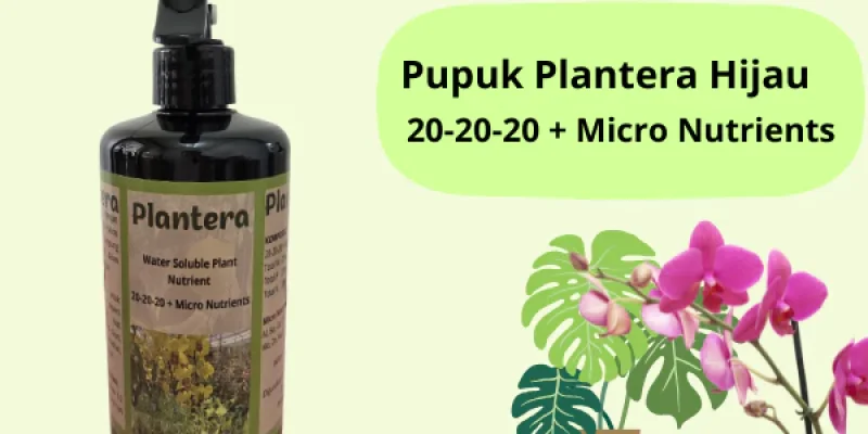 Pupuk Plantera Hijau