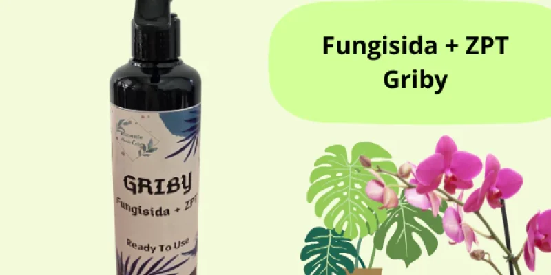 Fungisida Griby