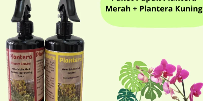 Paket Pupuk Tanaman  Anggrek Plantera Kuning & Merah