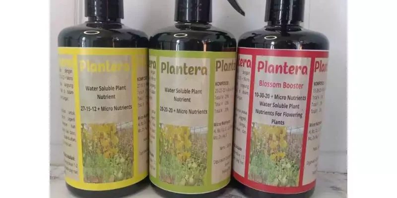 Paket Lengkap Pupuk Perawatan Tanaman Anggrek Plantera Kuning Hijau Merah