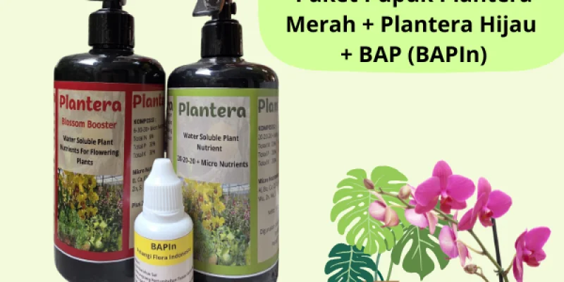 Paket Pupuk Plantera Merah Plantera Hijau & BAPIn