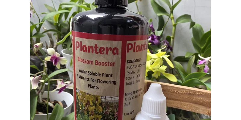 Paket Pupuk Tanaman Plantera Merah Blossom Booster dan BAPIn