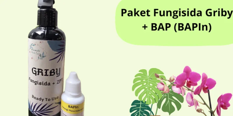 Paket Fungisida Griby 250 ml & BAP (BAPIn) 30ml