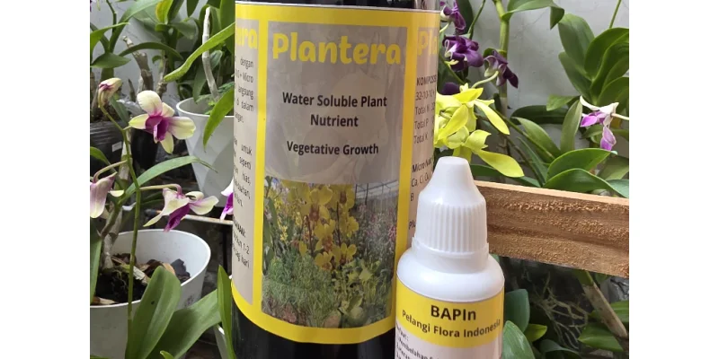 Paket Pupuk Tanaman Plantera Kuning  32-10-10 Nutrient Soluble dan BAPIn