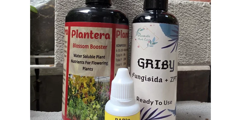 Paket Perawatan Tanaman Fase Generatif BAPIn, Pupuk Plantera Blossom Booster & Fungisida Griby