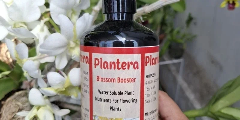 Pupuk Pembungaan Tanaman Plantera Blossom Booster