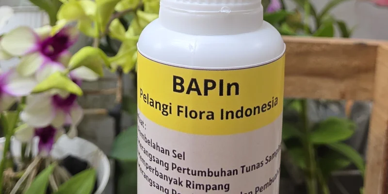 BAPIn