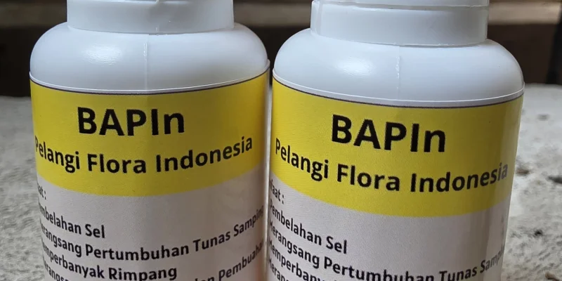 Paket 2 Botol BAPIn
